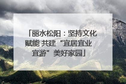 丽水松阳：坚持文化赋能 共建“宜居宜业宜游”美好家园