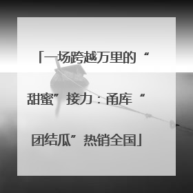 一场跨越万里的“甜蜜”接力：甬库“团结瓜”热销全国