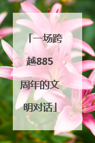 一场跨越885周年的文明对话