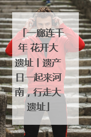 一廊连千年 花开大遗址丨遗产日一起来河南，行走大遗址