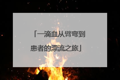 一滴血从臂弯到患者的漂流之旅