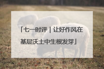 七一时评｜让好作风在基层沃土中生根发芽