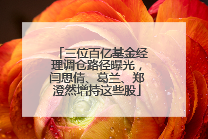 三位百亿基金经理调仓路径曝光，闫思倩、葛兰、郑澄然增持这些股