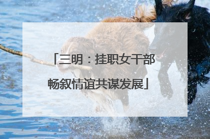 三明：挂职女干部畅叙情谊共谋发展
