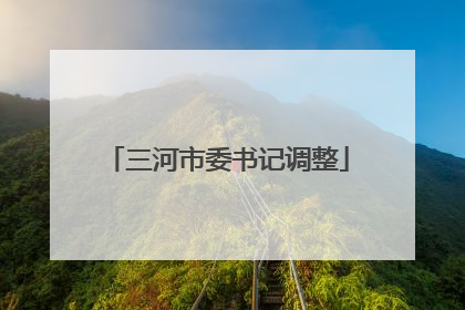 三河市委书记调整