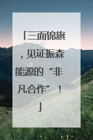 三面锦旗，见证振森能源的“非凡合作”！