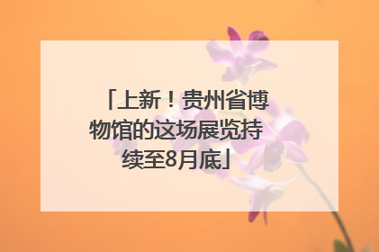 上新！贵州省博物馆的这场展览持续至8月底
