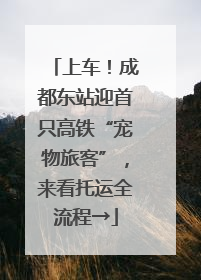 上车！成都东站迎首只高铁“宠物旅客”，来看托运全流程→