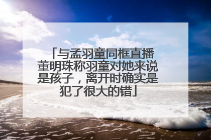 与孟羽童同框直播 董明珠称羽童对她来说是孩子，离开时确实是犯了很大的错
