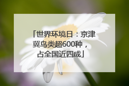 世界环境日：京津冀鸟类超600种，占全国近四成