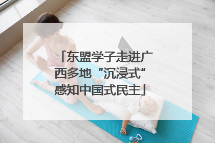 东盟学子走进广西多地“沉浸式”感知中国式民主