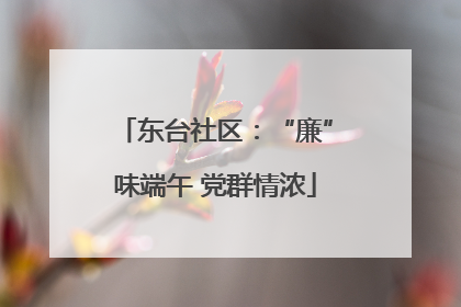 东台社区：“廉”味端午 党群情浓