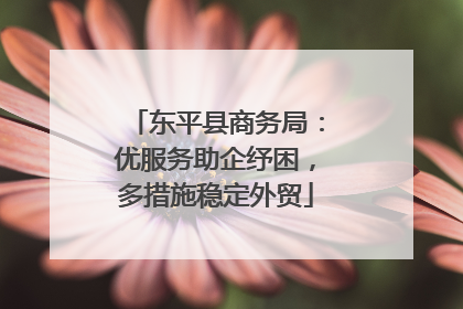 东平县商务局：优服务助企纾困，多措施稳定外贸