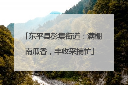 东平县彭集街道：满棚南瓜香，丰收采摘忙