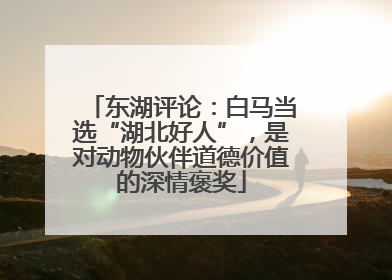 东湖评论：白马当选“湖北好人”，是对动物伙伴道德价值的深情褒奖