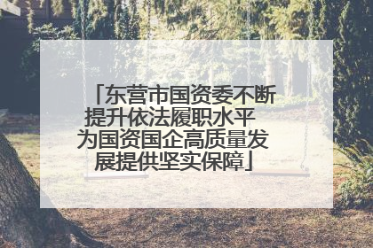 东营市国资委不断提升依法履职水平 为国资国企高质量发展提供坚实保障
