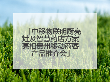 中移物联明厨亮灶及智慧药店方案亮相贵州移动商客产品推介会