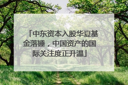 中东资本入股华夏基金落锤，中国资产的国际关注度正升温