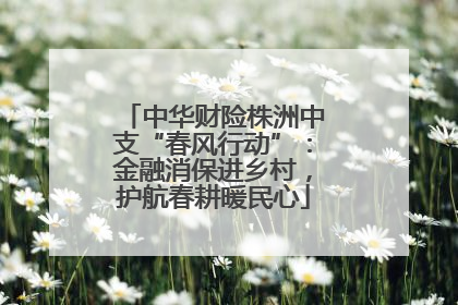 中华财险株洲中支“春风行动”：金融消保进乡村，护航春耕暖民心