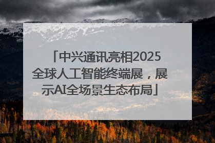 中兴通讯亮相2025全球人工智能终端展，展示AI全场景生态布局