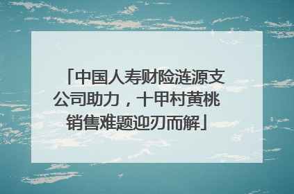 中国人寿财险涟源支公司助力，十甲村黄桃销售难题迎刃而解