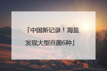 中国新记录！海盐发现大型真菌6种