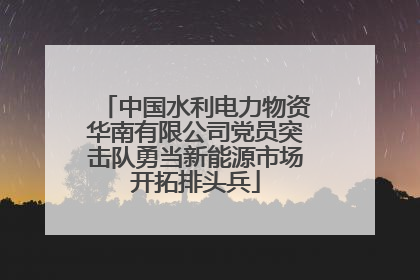 中国水利电力物资华南有限公司党员突击队勇当新能源市场开拓排头兵