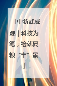 中新武威观｜科技为笔，绘就夏粮“丰”景