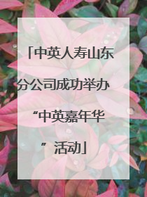中英人寿山东分公司成功举办 “中英嘉年华”活动