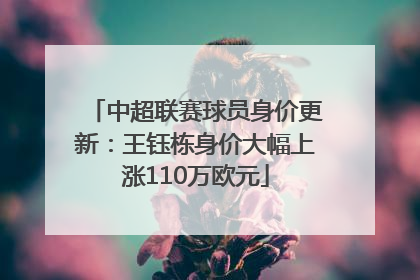 中超联赛球员身价更新：王钰栋身价大幅上涨110万欧元