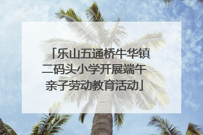 乐山五通桥牛华镇二码头小学开展端午亲子劳动教育活动