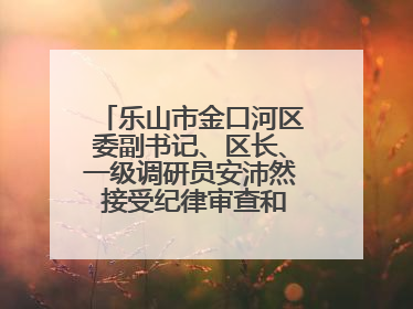乐山市金口河区委副书记、区长、一级调研员安沛然 接受纪律审查和监察调查
