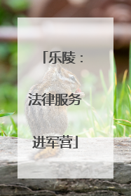 乐陵：法律服务进军营