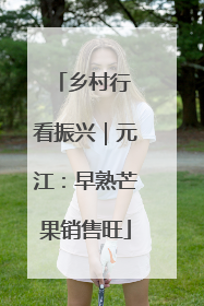乡村行 看振兴｜元江：早熟芒果销售旺