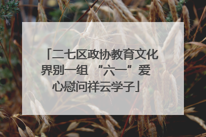 二七区政协教育文化界别一组 “六一”爱心慰问祥云学子