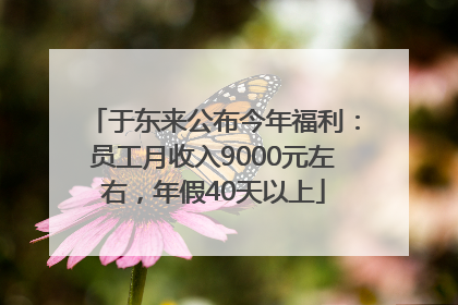 于东来公布今年福利：员工月收入9000元左右，年假40天以上
