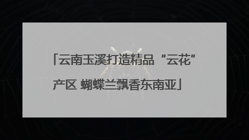 云南玉溪打造精品“云花”产区 蝴蝶兰飘香东南亚