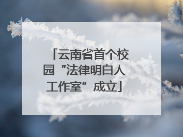 云南省首个校园“法律明白人工作室”成立