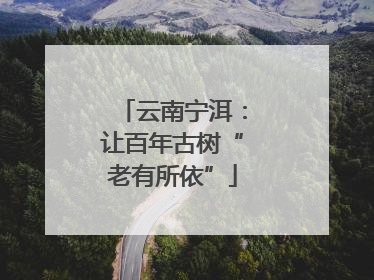 云南宁洱：让百年古树“老有所依”