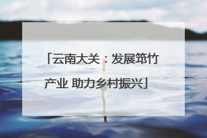云南大关：发展筇竹产业 助力乡村振兴