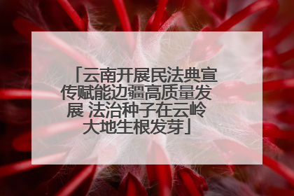 云南开展民法典宣传赋能边疆高质量发展 法治种子在云岭大地生根发芽