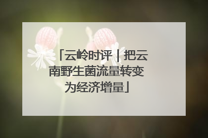 云岭时评｜把云南野生菌流量转变为经济增量