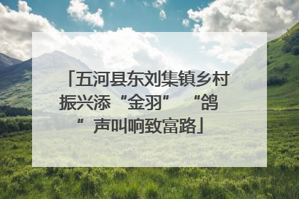 五河县东刘集镇乡村振兴添“金羽” “鸽”声叫响致富路