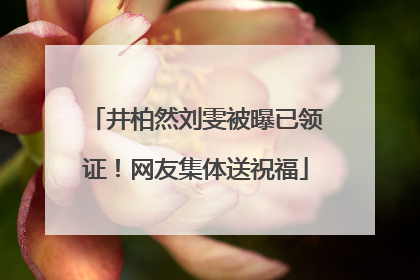 井柏然刘雯被曝已领证！网友集体送祝福