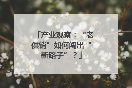 产业观察：“老供销”如何闯出“新路子”？