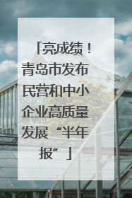亮成绩！青岛市发布民营和中小企业高质量发展“半年报”