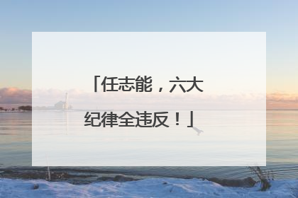 任志能，六大纪律全违反！