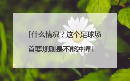 什么情况？这个足球场首要规则是不能冲撞
