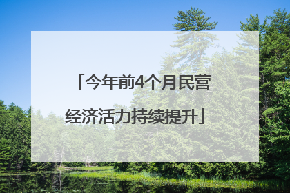 今年前4个月民营经济活力持续提升