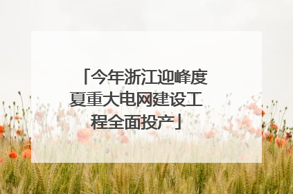 今年浙江迎峰度夏重大电网建设工程全面投产